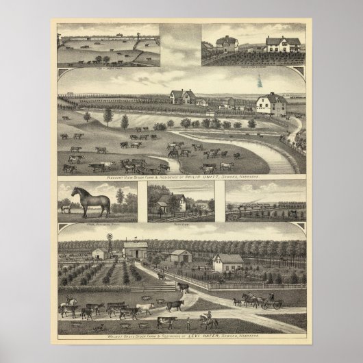 Seward Boerderijen, Nebraska Poster (Voorkant)