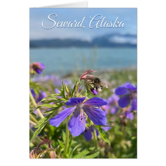 Seward Geranium - 5" x 7" Art Kaart (Voorkant)