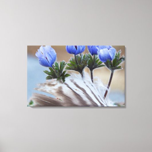 Seward-schiereiland, Alaska, Arctische wilde bloem Canvas Afdruk (Voorkant)