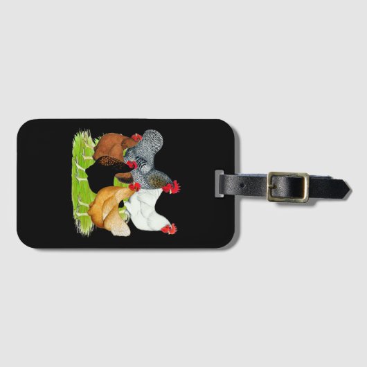 Sex-linked kippen Quintet Bagagelabel (Voorkant (horizontaal))