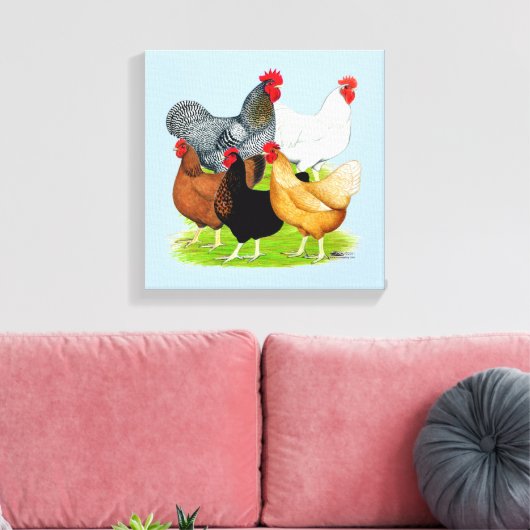 Sex-linked kippen Quintet Canvas Afdruk (Insitu (Woonkamer))