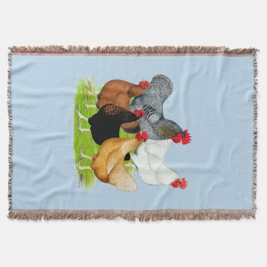 Sex-linked kippen Quintet Deken (Voorkant)