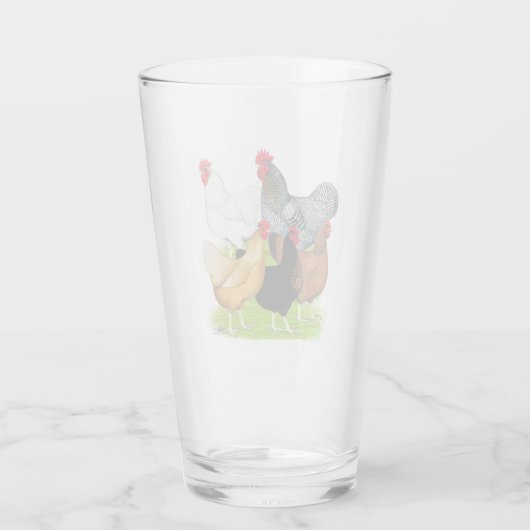 Sex-linked kippen Quintet Glas (Achterkant)