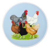 Sex-linked kippen Quintet Keramische Knop (Voorkant)