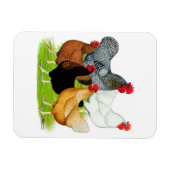 Sex-linked kippen Quintet Magneet (Horizontaal)