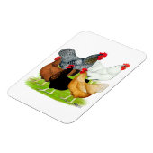 Sex-linked kippen Quintet Magneet (Linkerzijde)