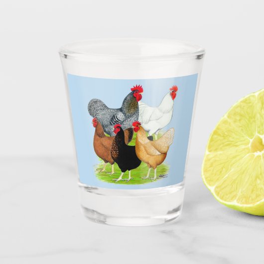 Sex-linked kippen Quintet Shot Glas (Voorkant)