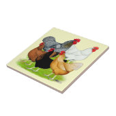 Sex-linked kippen Quintet Tegeltje (Zijkant)