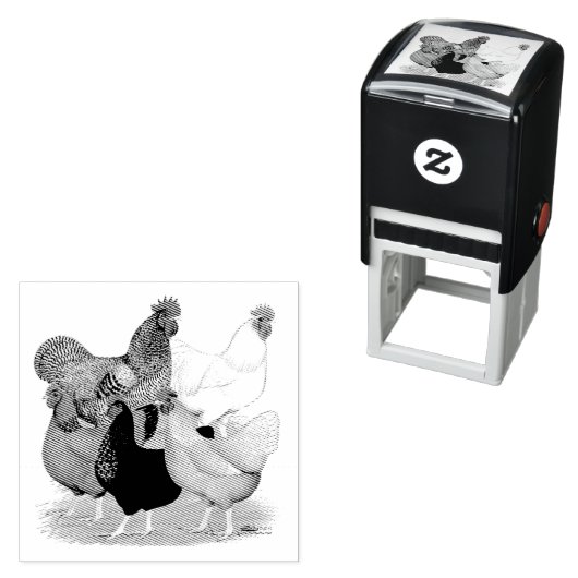 Sex-linked kippen Quintet Zelfinktende Stempel (In situ)