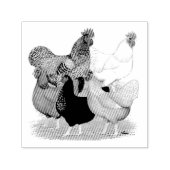 Sex-linked kippen Quintet Zelfinktende Stempel (Design)