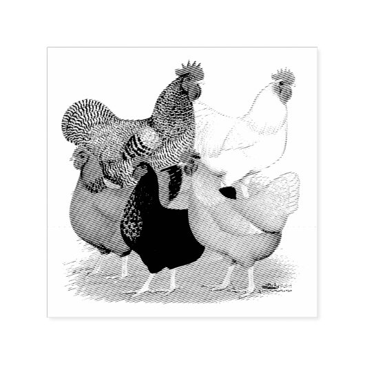 Sex-linked kippen Quintet Zelfinktende Stempel (Design)