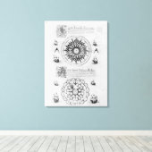 Sextant Canvas Afdruk (Insitu (Houten vloer))