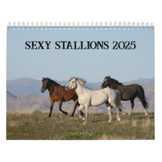 Sexy Hengsten 2025 Kalender