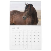 Sexy Hengsten 2025 Kalender (Mar 2027)