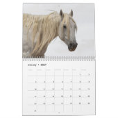 Sexy Hengsten 2025 Kalender (Jan 2027)