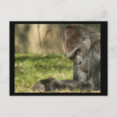 Sexy Silverback Gorilla Briefkaart (Voorkant)