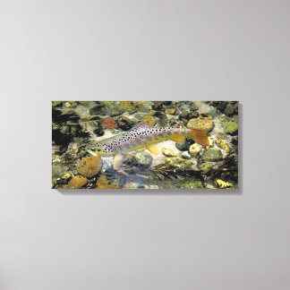 "Sexy slagle bruin" Canvas Afdruk