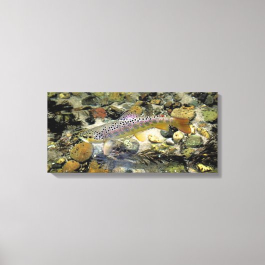 "Sexy slagle bruin" Canvas Afdruk (Voorkant)