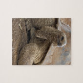 Seychelle Aldabran landschildpad Legpuzzel (Horizontaal)