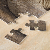 Seychelle Aldabran landschildpad Legpuzzel (Zijkant)