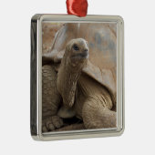 Seychelle Aldabran landschildpad Metalen Ornament (Rechts)