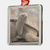 Seychelle Aldabran landschildpad Metalen Ornament (Links)