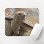 Seychelle Aldabran landschildpad Muismat (Met muis)
