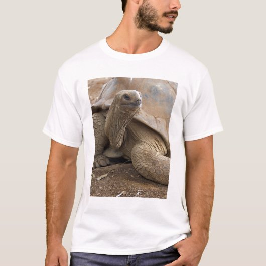 Seychelle Aldabran landschildpad T-shirt (Voorkant)