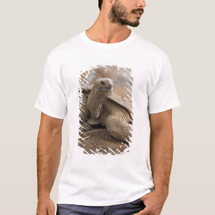 Seychelle Aldabran landschildpad T-shirt
