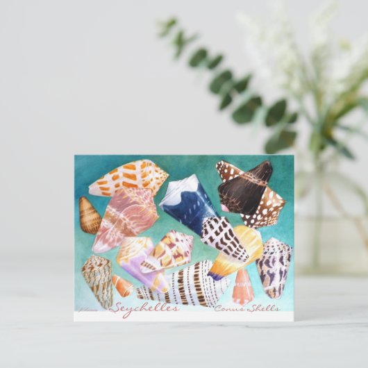 Seychellen Conus Shells Briefkaart (Staand voorkant)