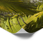Seychellen, Curieuse eiland, Laraie baai Poster (Hoek)