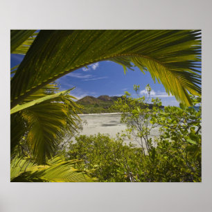 Seychellen, Curieuse eiland, Laraie baai Poster