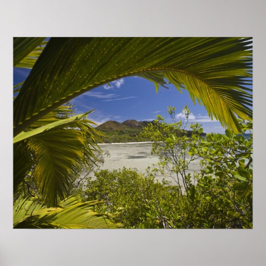 Seychellen, Curieuse eiland, Laraie baai Poster (Voorkant)