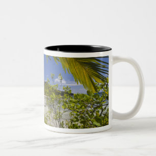 Seychellen, Curieuse Island, Laraie Bay Tweekleurige Koffiemok