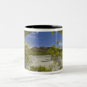 Seychellen, Curieuse Island, Laraie Bay Tweekleurige Koffiemok (Center)