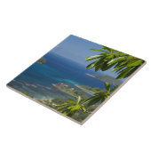 Seychellen, eiland Mahe. Westkust van Tegeltje (Zijkant)