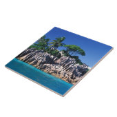 Seychellen. Ilot St. Pierre (nabij Praslin Tegeltje (Zijkant)