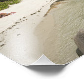 Seychellen, La Digue Island, L'Union Estate Foto Afdruk (Hoek)