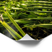 Seychellen La Digue Sunset Beach Holiday Souvenir Perfect Poster (Hoek)