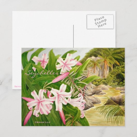 Seychellen Lily Briefkaart (Voorkant / Achterkant)
