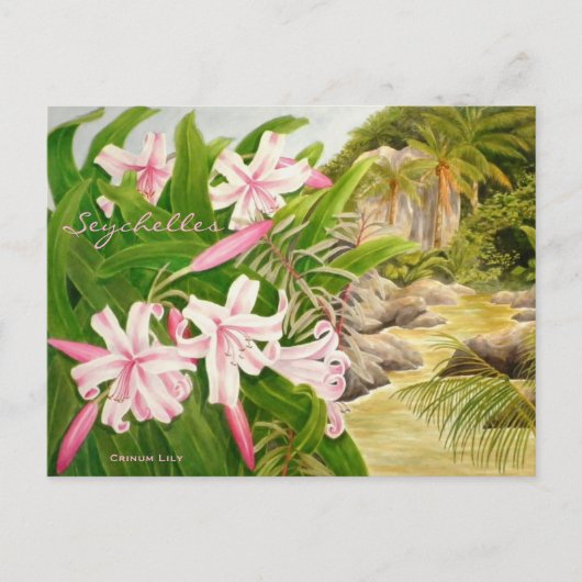 Seychellen Lily Briefkaart (Voorkant)