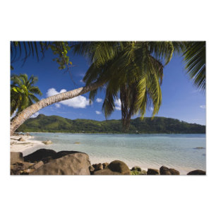 Seychellen, Mahe eiland, Anse a la Mouche Foto Afdruk