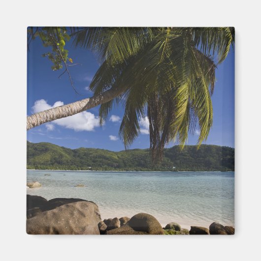 Seychellen, Mahe eiland, Anse a la Mouche Magneet (Voorkant)
