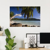 Seychellen, Mahe eiland, Anse a la Mouche Poster (Thuiskantoor)