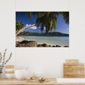 Seychellen, Mahe eiland, Anse a la Mouche Poster (Keuken)