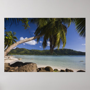Seychellen, Mahe eiland, Anse a la Mouche Poster