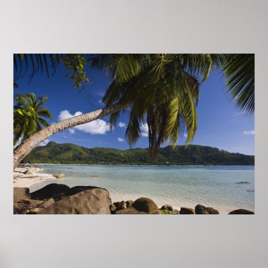 Seychellen, Mahe eiland, Anse a la Mouche Poster (Voorkant)