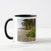 Seychellen, Mahe eiland, Anse Marie-Louise Mok (Links)
