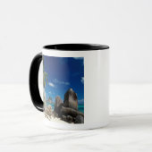 Seychellen, Mahe eiland, Anse Royale strand. Mok (Voorkant links)