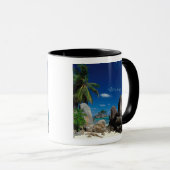 Seychellen, Mahe eiland, Anse Royale strand. Mok (Voorkant rechts)
